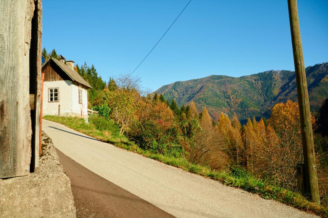 Romantische Ferienhuette Nationalpark Kalkalpen, Sonnig, 2 Schlafzimmer, Wlan Kleinreifling Eksteriør bilde