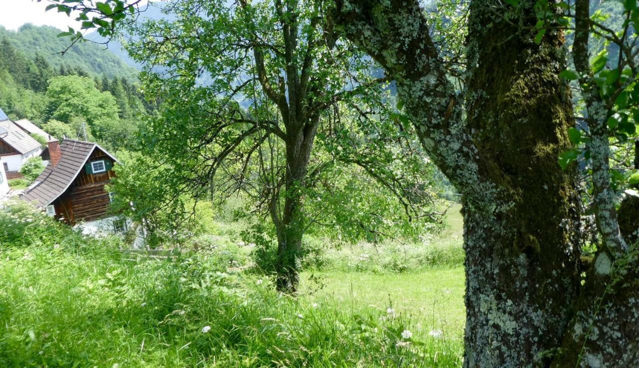 Romantische Ferienhuette Nationalpark Kalkalpen, Sonnig, 2 Schlafzimmer, Wlan Kleinreifling Eksteriør bilde